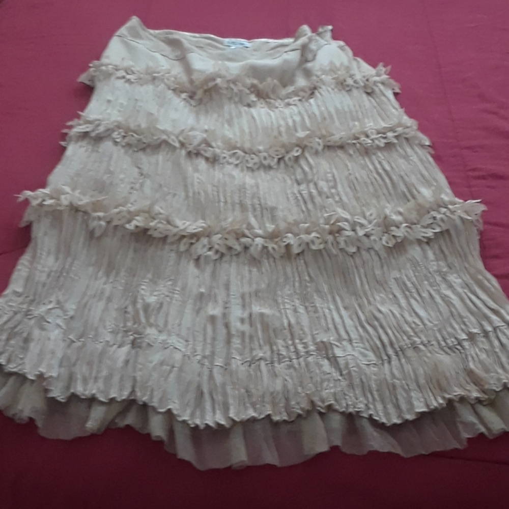 Karlyn-Max skirt (large)